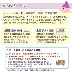 【送料無料】セレナーディア5号花鉢≪かご付き≫冬の定番シクラメンサントリーフラワーズ希少な青系シクラメン/アロマブルー/ビクトリアブルー/お歳暮ギフト誕生日お礼/ギフトプレゼント/正月/花【楽ギフ_包装】