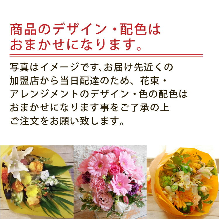 激安単価で きょう花特急便お祝い用 本日お届け 全国ネットワーク又はイーフローラでお届け 誕生日 結婚祝い 出産 御祝 お見舞いペット 還暦祝い フラワーギフト歓迎 退職 アレンジ 当日配達 即日配達 Coastalfamilymed Com