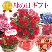 【早割実施中】母の日 プレゼント 花 ギフト 選べる花鉢＆リースカーネーション アジサイ ケイトウ リース母の日ギフト 鉢 生花 鉢植え 本州・四国は送料無料 北海道・九州のお届けは送料650円 沖縄県・離島お届け不可 2022 FKHH