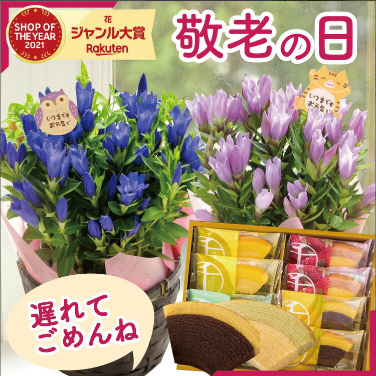 【早割】敬老の日 早割 ギフト プレゼント 花とスイーツ りんどう花鉢 と 銀座千疋屋フルーツクーヘン 【敬老の日期間 9月15-18日お届け】送料無料 スイーツセット 鉢植え リンドウショップオブザイヤー受賞SHOP発 花ギフト FKKEのサムネイル