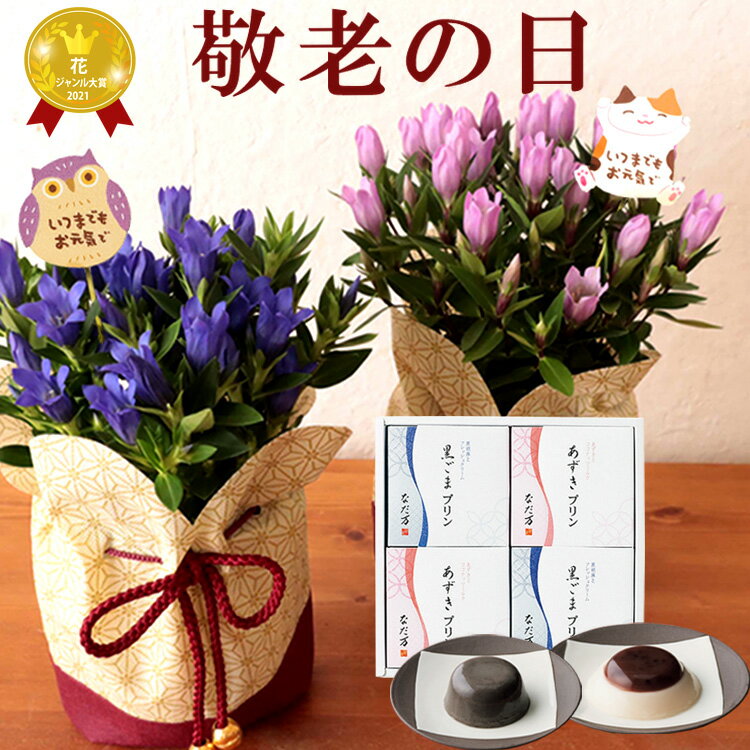 【ポイント10倍】【あす楽】まだ間に合う 敬老の日 ギフト 選べるりんどう花鉢（巾着入り）+なだ万 プリン プレゼント 花 送料無料 (一部地域を除く）【敬老の日期間 9月15-18日お届け】敬老の日ギフト 鉢植え孫 敬老の日プレゼント 【2023敬老】 FKKEのサムネイル