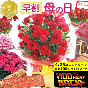 ＼4/25は抽選で100％Pバックx 早割／ 母の日 プレゼント ギフト 花 鉢植え 花とスイーツ 選べる 花鉢＆ スイーツセット 花とお菓子 カーネーション 5号 アジサイ ケイトウ カステラ 銀座千疋屋 お菓子 スイーツセットA バウムクーヘン 全国送料無料 【2024母の日】 FKHH