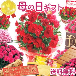 花とプリンのセット ＼早割 28日まで！／ 母の日 プレゼント ギフト 花 鉢植え 花とスイーツ 選べる 花鉢＆ スイーツセット 花とお菓子 カーネーション 5号 アジサイ ケイトウ カステラ 銀座千疋屋 お菓子 スイーツセットA バウムクーヘン 全国送料無料 【2024母の日】 FKHH