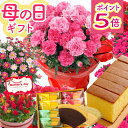 【まだ間に合う☆ポイント5倍☆5月3日迄】母の日 プレゼント 花 カーネーション 選べる花鉢 花とスイーツ ギフト 鉢植え 生花 5号 花ギフト スイーツセット...