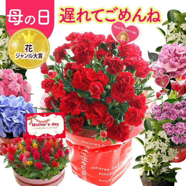 フラワーキッチン自由が丘 花の鉢植え あす楽 ＼遅れてごめんね／ 母の日 プレゼント カーネーション ギフト 花 鉢植え 2024 選べる 花鉢 カーネーション 5号 5号鉢 ケイトウ アンスリウム ジャスミン おしゃれ 母の日ギフト プレゼント ははの日 hahanohi 60代 70代 義母【2024母の日】FKHH