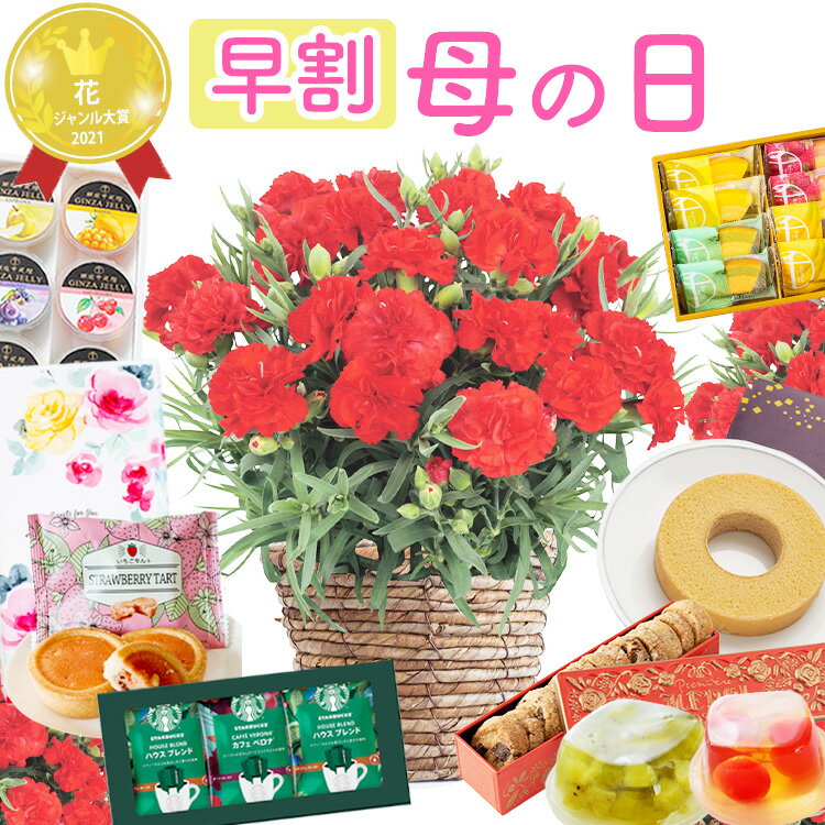 母の日 プレゼント 花 カーネーション 選べるスイーツ 6種 花とスイーツ ギフト 鉢植え 生花 5号 花ギフト スイーツセット 花とお菓子 銀座千疋屋 スターバックス 洋菓子 バウムクーヘン 50代 60代 70代 80代 ははの日 hahanohi フラワーキッチン 自由が丘 2025母の日 FKHHのサムネイル