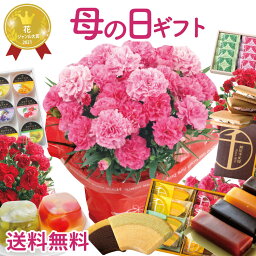 花とプリンのセット ＼まだ間に合う！ポイント5倍！5月4日14:59まで／ 母の日 プレゼント ギフト 花とスイーツ 選べる千疋屋スイーツと カーネーション スイーツセット 花とお菓子 ははの日 hahanohi 花 鉢植え 花ギフト 5号 スイーツ 銀座千疋屋 送料無料 【2024母の日】 FKHH