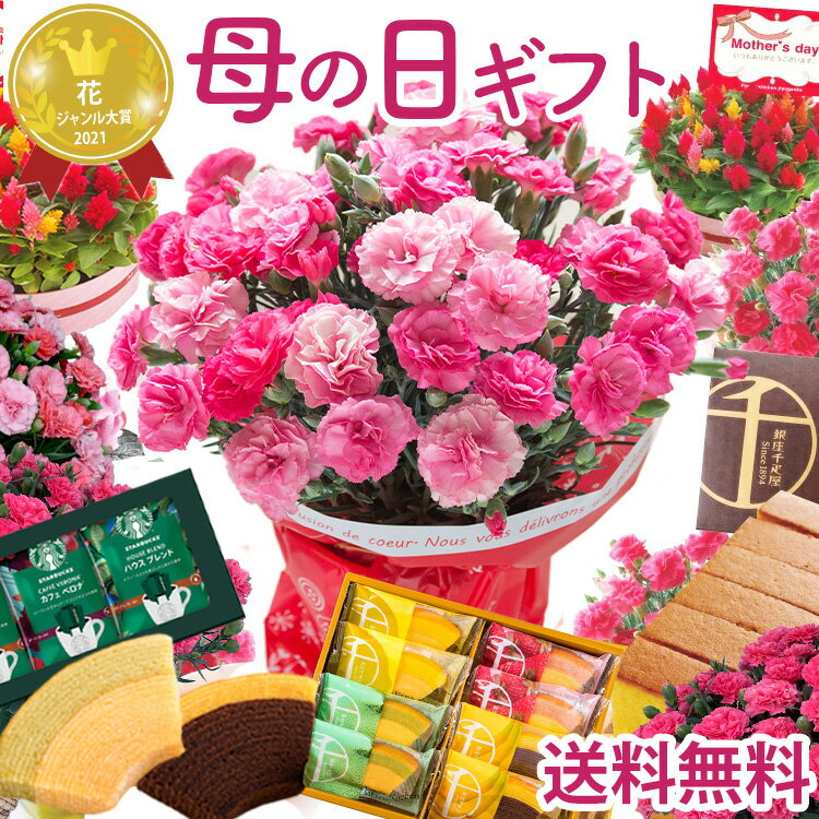 ＼早割実施中／ 母の日 カーネーション プレゼント 花 選べる花鉢 花とスイーツ ギフト 鉢植え 生花 5号 花ギフト スイーツセット 花とお菓子 カステラ 銀座千疋屋 60代 70代 ははの日 2026 FKHH 母の日 フラワーキッチン自由が丘