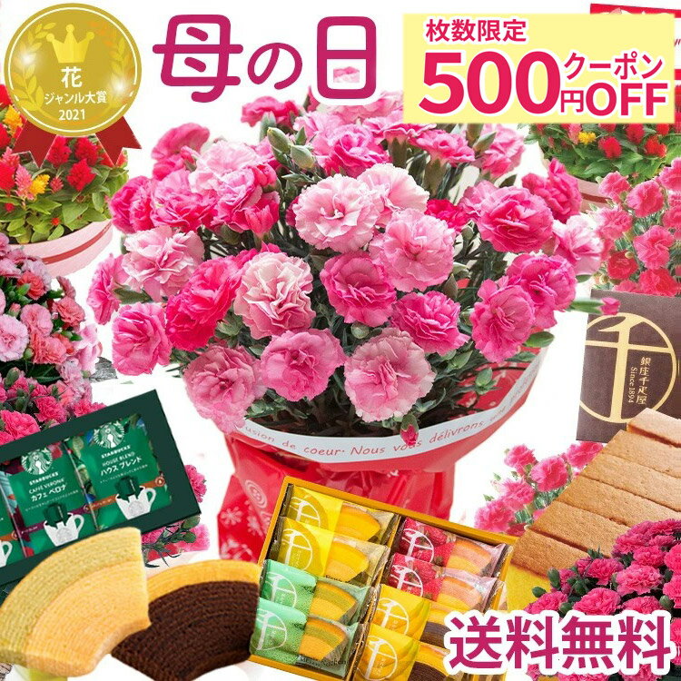 ＼先着500円クーポン 早割／ 母の日 カーネーション プレゼント 花 選べる花鉢 花とスイーツ ギフト 鉢植え 生花 5号 花ギフト スイーツセット 花とお菓子 カステラ 銀座千疋屋 60代 70代 ははの日 2026 FKHH 母の日 フラワーキッチン自由が丘の商品画像