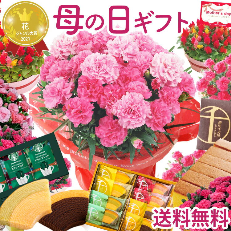 早割 母の日 カーネーション プレゼ