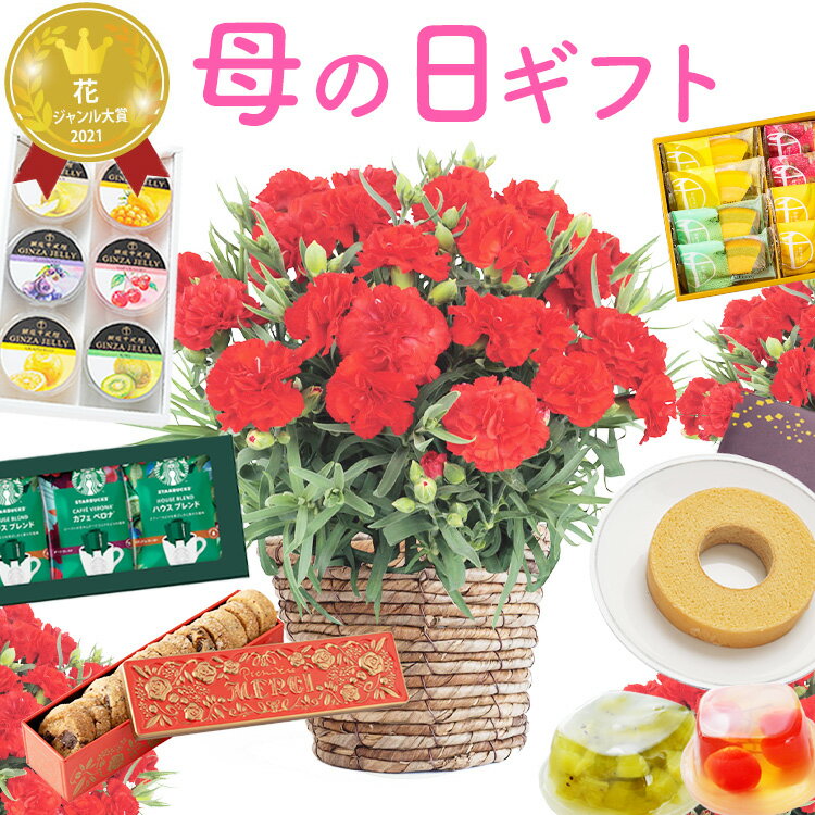 ����� ��� �ץ쥼��� �� ������ �����͡������ ȭ ���٤륹������ 6�� �֤ȥ������� ���ե� ȭ���� ���� 5�� �������� �֤Ȥ��ۻ� �����ɥ�� ����...