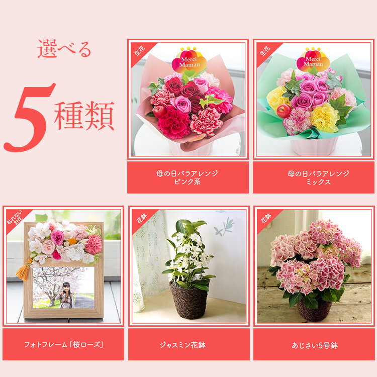 �����奯���ݥ����������� ����� �ץ쥼��� �� ���٤���������ե� ����󥸥��� ��« �֡��� ȭ���� ��ȭ ���� �֥��ե� �Х� �����͡������ �������� ���㥹�ߥ� �ե��ȥե졼�� ��󥭥� ��å������� 50�� 60�� 70�� 2026 FKHH ����� �ե����å���ͳ����