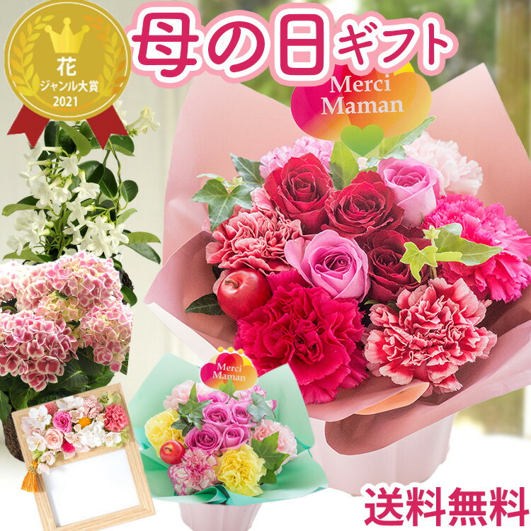 �����奯���ݥ����������� ����� �ץ쥼��� �� ���٤���������ե� ����󥸥��� ��« �֡��� ȭ���� ��ȭ ���� �֥��ե� �Х� �����͡������ ������...