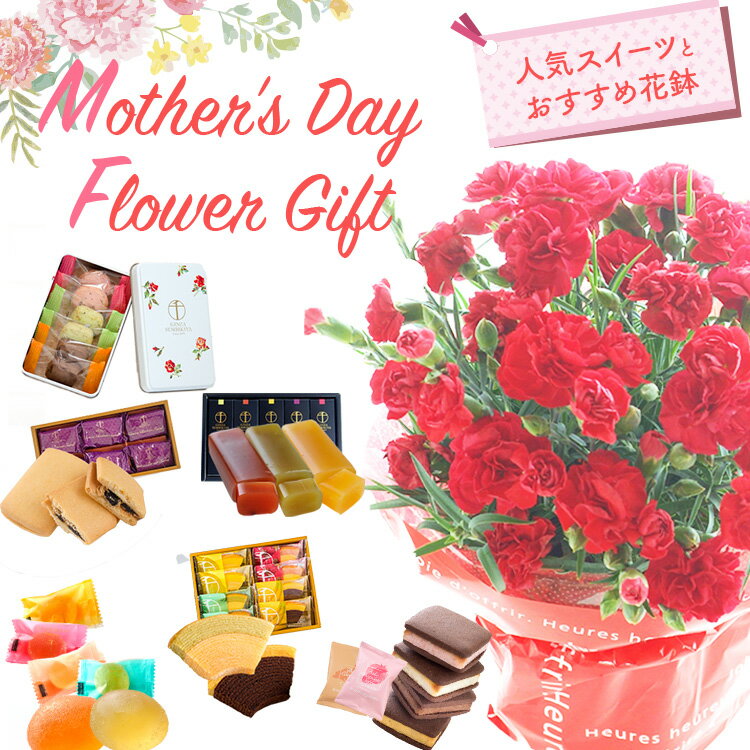母の日 早割 プレゼント 花 選べる千疋屋スイーツと カーネーション 花とスイーツ ギフト 鉢植え 生花 5号 花ギフト スイーツセット 花とお菓子 銀座千疋屋 洋菓子 70代 80代 フラワーキッチン自由が丘 ははの日 hahanohi 2026 FKHH 母の日 フラワーキッチン自由が丘