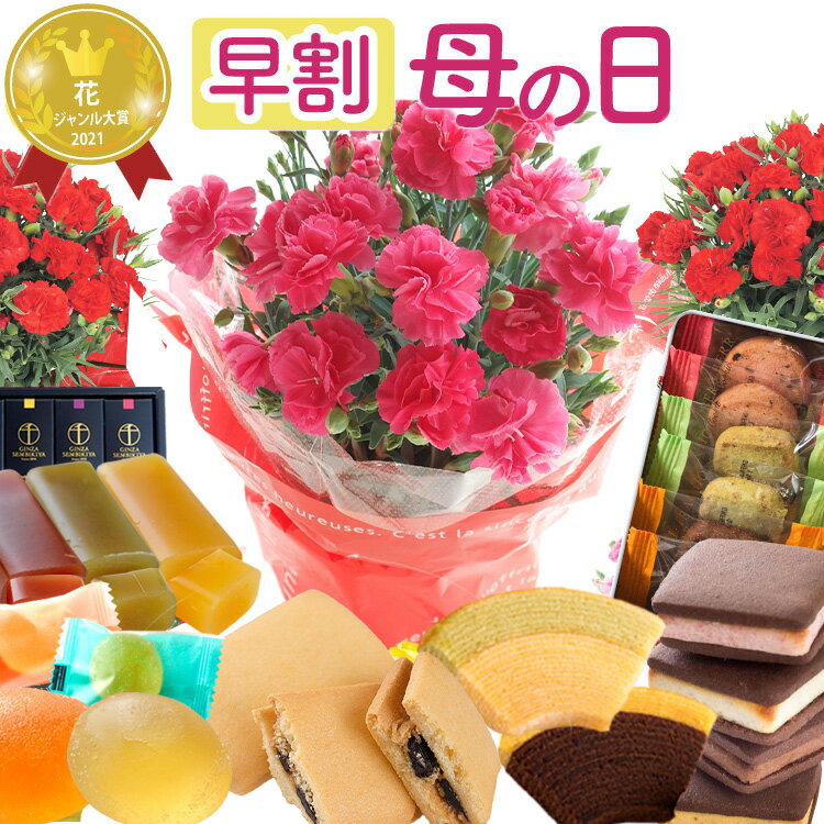 母の日 早割 プレゼント 花 選べる千疋屋スイーツと カーネーション 花とスイーツ ギフト 鉢植え 生花 ..