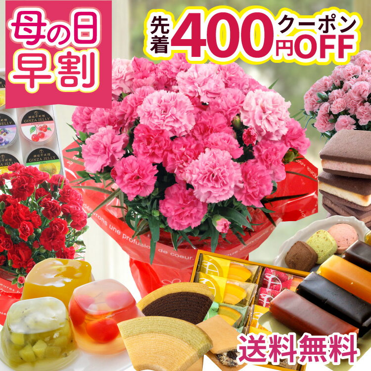 ＼先着400円クーポン／ 母の日 早割 プレゼント 花 選べる千疋屋スイーツと カーネーション 花とスイーツ ギフト 鉢植え 生花 5号 ギフト スイーツセット 花とお菓子 銀座千疋屋 洋菓子 スイーツ 60代 70代 ははの日 2026 FKHH 母の日 フラワーキッチン自由が丘