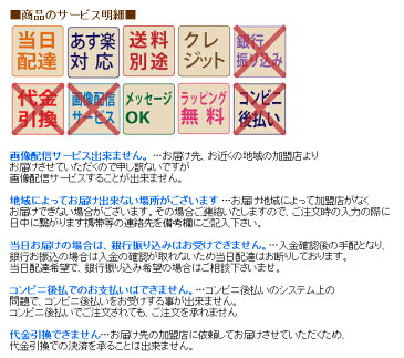 【13時迄の注文で本日お届け】 お花屋さんの直接配達　母の日きょう花特急便お祝い用【生花】フラワーギフト【全国ネットワーク 花キューピット 又はイーフローラお届け】お祝い 記念日 結婚 出産 送別 開店 当日 即日 今日 アレンジ 花束　いい夫婦の日　クリスマス