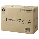 【10-6660-0】 セレモニーフォーム キング送料無料 花資材 松村工芸 FKTS