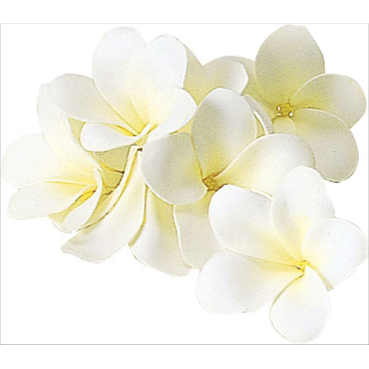 【72-36121-1】 造花　アートフラワー A−36121　プルメリア（1箱8輪入り )　 #001 ホワイト 1箱送料無..