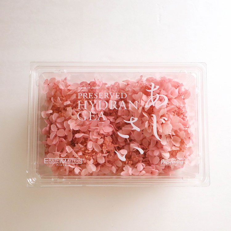 FlowerKitchenJIYUGAOKAの【76-1510-411】 プリザーブドフラワー ソフトピラミッドアジサイ・ヘッド ラベンダー 1箱送料無料　花資材 松村工芸 FKTS｜アングル2