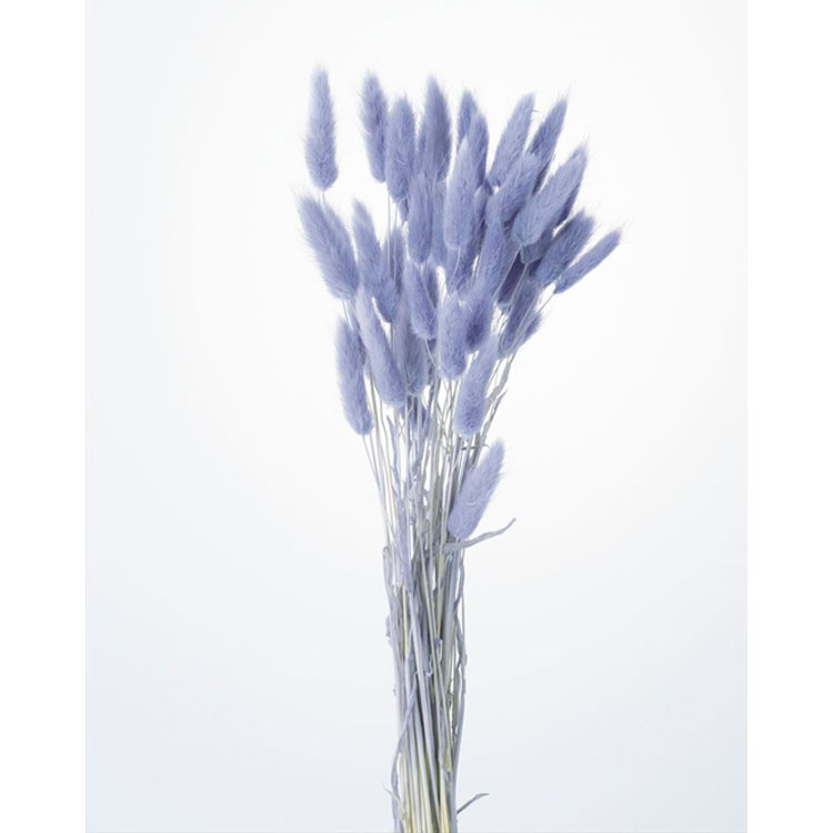 Rakuten - 【76-42050-451】 アートフラワー ラグラス　15g エンジェルパープル 1束送料無料　花資材 松村工芸 FKTS