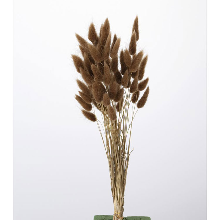 【76-42050-831】 アートフラワー ラグラス　15g ブラウン 1束送料無料　花資材 松村工芸 FKTS