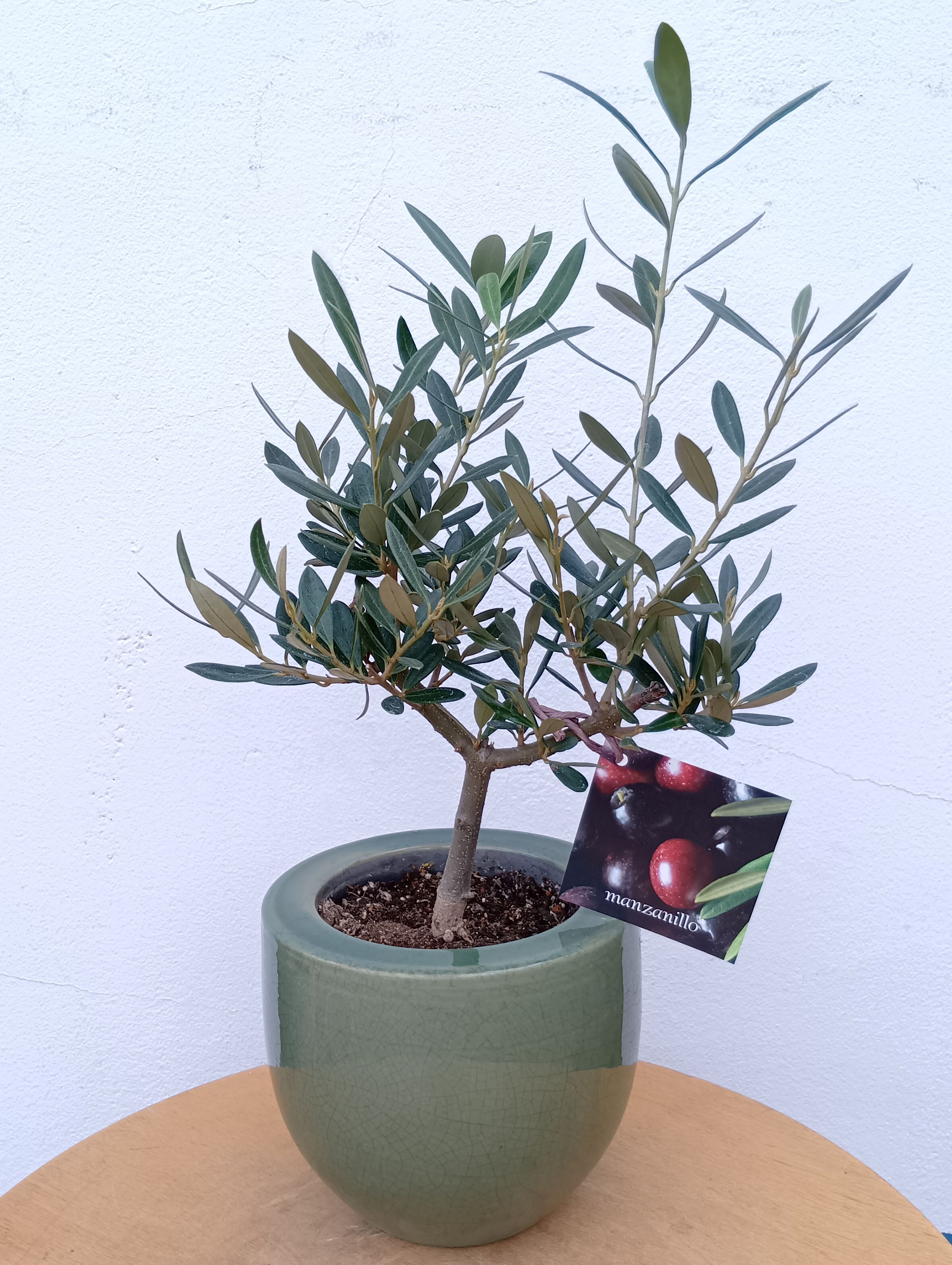 ꡼֤ ꡼֡ʥޥ󥶥˥ ƫ ꡼ ʪ ȭ  տʪ ƥꥢ꡼  ߥ  ե ǰ ܥĥ꡼  ˤ Ź   ñۤ 뺧 FKTK