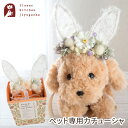 ペット用お花のカチューシャ「chouchou-シュシュ-」プリザーブドフラワー アートフラワー ドライフラワー ソープフラワー 枯れない花 誕生日 犬 猫 ペッ...