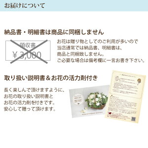 写真サービス