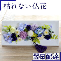 https://thumbnail.image.rakuten.co.jp/@0_mall/flowerkitchen/cabinet/pr/puri/08323590/osonaefr_b.jpg