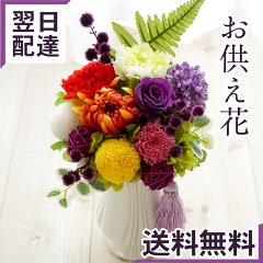 https://thumbnail.image.rakuten.co.jp/@0_mall/flowerkitchen/cabinet/pr/puri/08323590/po-001b.jpg