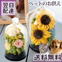 ペット 供養 お供え お悔やみ 花 「ひまわりローズドーム」 お供え花 ペット供養 仏花 プリザーブドフラワー ソラフラワー プリザ 仏壇 枯れない花 犬 猫 ...