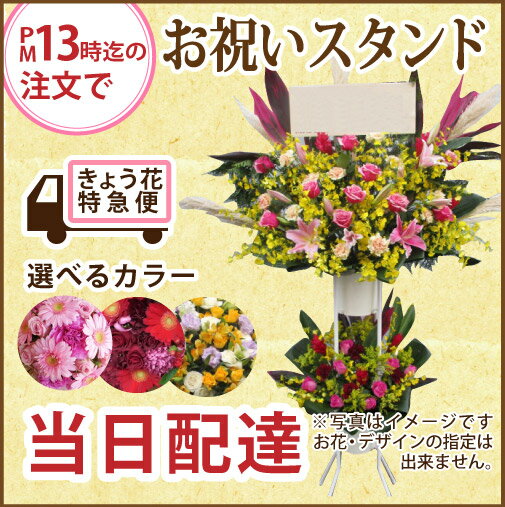開店・開業祝い用　スタンド花　2段 午後13時までのご注文で、即日からお届けが可能です！ 即日配達・当日配達可能/開業 祝い/ピンク/オレンジ/赤/ビジネス 即日/ギフト/花/プレゼント/スタンド/段/開店祝い/イーフローラ/きょう花 バレンタイン　ホワイトデー