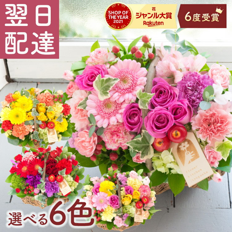 SOY2021年花ジャンル大賞受賞【生花】【画像配信OK!】送料無料!開店/...