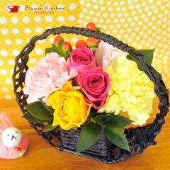 https://thumbnail.image.rakuten.co.jp/@0_mall/flowerkitchen/cabinet/pr/sk/07555269/wakago-06.jpg