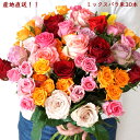 【日時指定不可】おまかせミックスバラ30本 グリーンmix 産地直送の花ギフト 【送料無料】 自宅用 ギフト対応不可 日時指定不可北海道・中国・四国・九州・沖縄・離島へのお届けは出来ません #花のある暮らし 生花 FKTFS