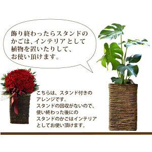 イエローミックス
