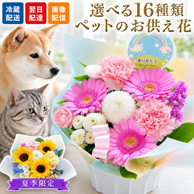 【最短翌日★14時〆】ペット お供え 花 ペットへ贈るお供えアレンジ ひまわり お悔やみ 仏花 ペットロス フラワー アレンジメント フラワー ギフト 虹の橋 犬 猫 贈り物 3000円 ペット供養 仏壇 亡くなった 供花 お供え花 命日 お悔み 生花 最強配送 【レビュー特典】 FKAA