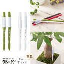 【2本セットでお買い得!】『 Sサイズ 本体2本セット サスティー 植物用水分計 』ネコポス発送 【送料無料】 水やりのタイミングが分かる植物用水分計 2〜3号...