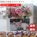 【お彼岸最終セール仏花10%OFF+全品ポイント10倍!27日まで】プリザーブドフラワー 写真立て ペット 敬老の日 孫 写真 花 プレゼント 誕生日 フォトフレーム 結婚祝い 結婚式 ペット仏花 ウエディング 【写真プリント無料!エンジェルスマイル】