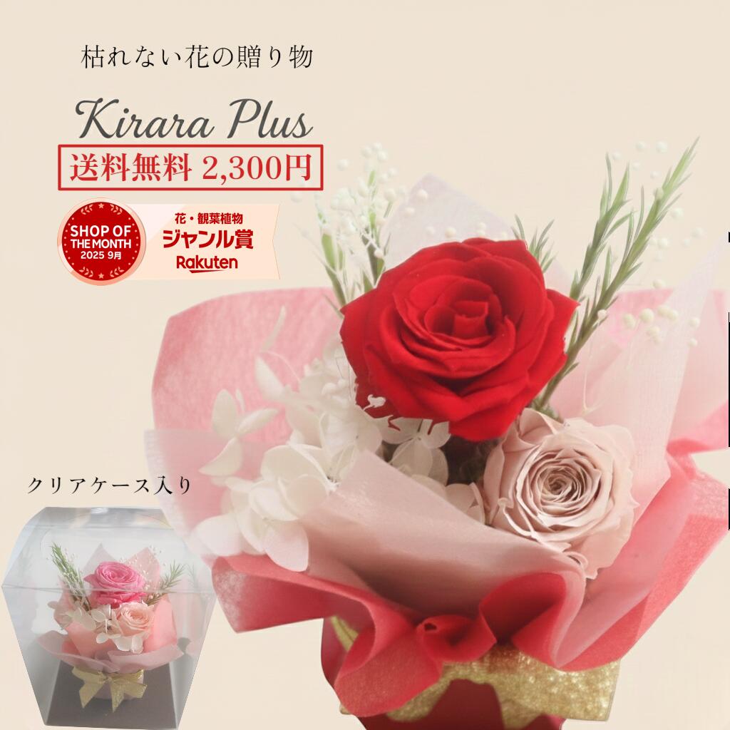 ★スーパーセール先行セール10％OFFクーポン配布!12/4まで★即日発送 平日14時まで★ 送料無料 プリザーブ..