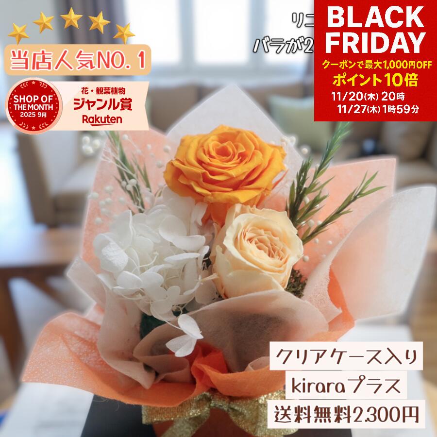 ブラックフライデー最大1000円OFF＆P1