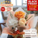 ブラックフライデー最大1000円OFF&P10倍11/20〜★即日発送 送料無料★プリザーブドフラワー お試し 送料無料 クリスマス 誕生日 卒業 送別 送別会...