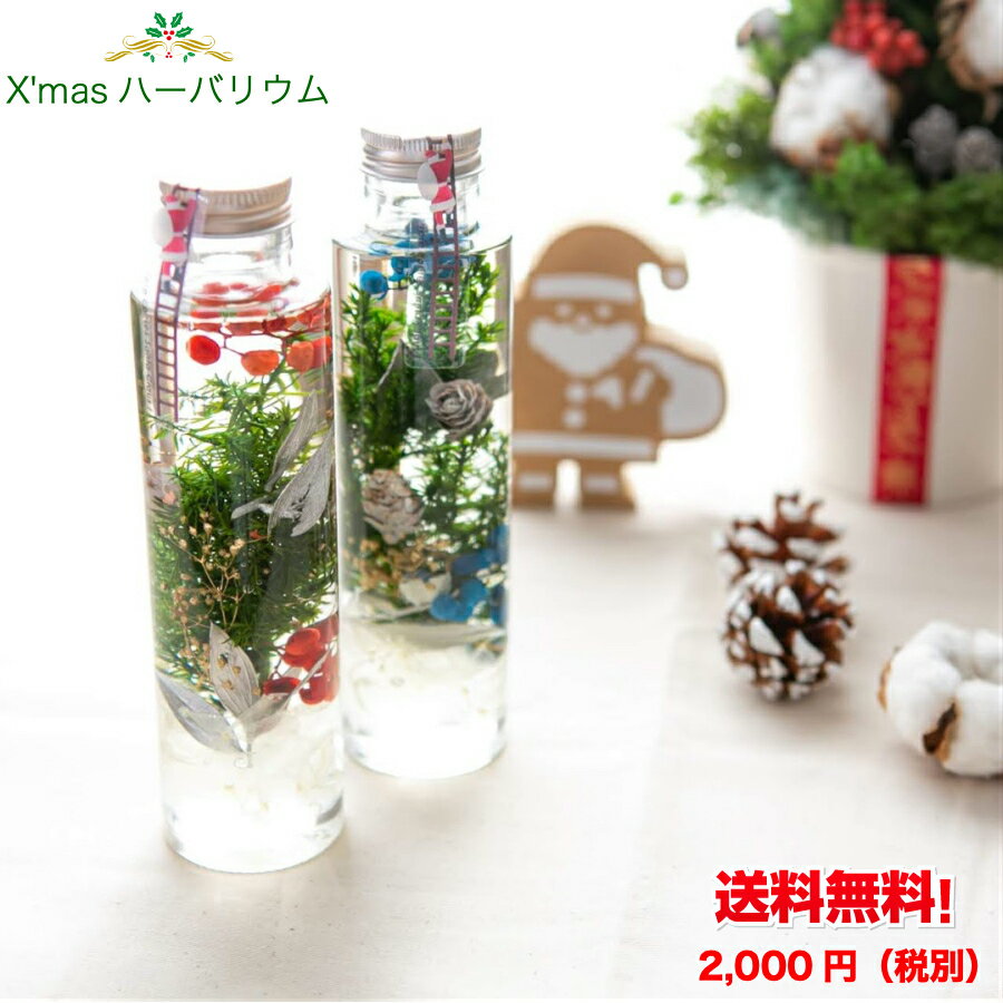 【10%OFF＋ポイント10倍！】ハーバリウム クリスマス ...