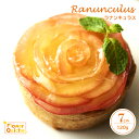 ラナンキュラス rananculus 120g 直径:約7cm リンゴ 紅茶 アップル ティー クリームチーズ 花言葉：魅力 タルト 大阪スイーツ デザート 花 カフェ ケーキ