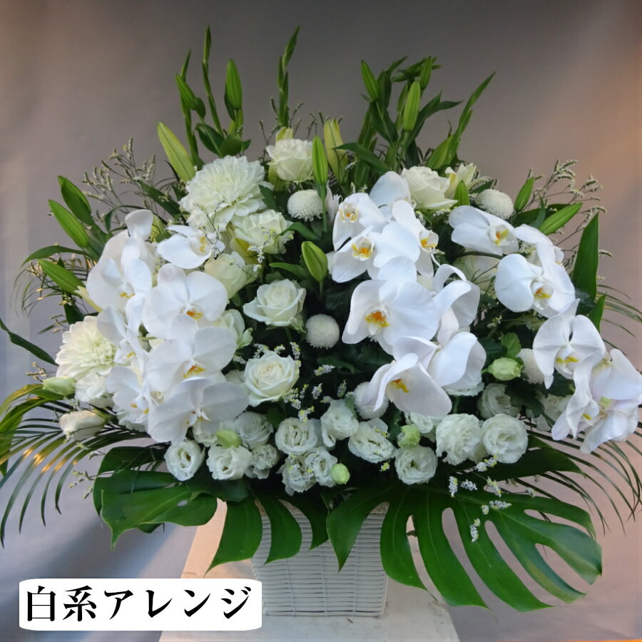 生花 フラワーアレンジ 季節のお花を取り入れた お祝いアレンジメント 円 即日配送 立て札 メッセージカード付属 誕生日祝い 結婚祝い 移転祝い 公演 出演祝い 生花 フラワーアレンジ 季節のお花を取り入れた お祝いアレンジメント 円 即日配送 立て札 メッセージカード付属 誕生日祝い 結婚祝い 移転祝い 公演 出演祝い