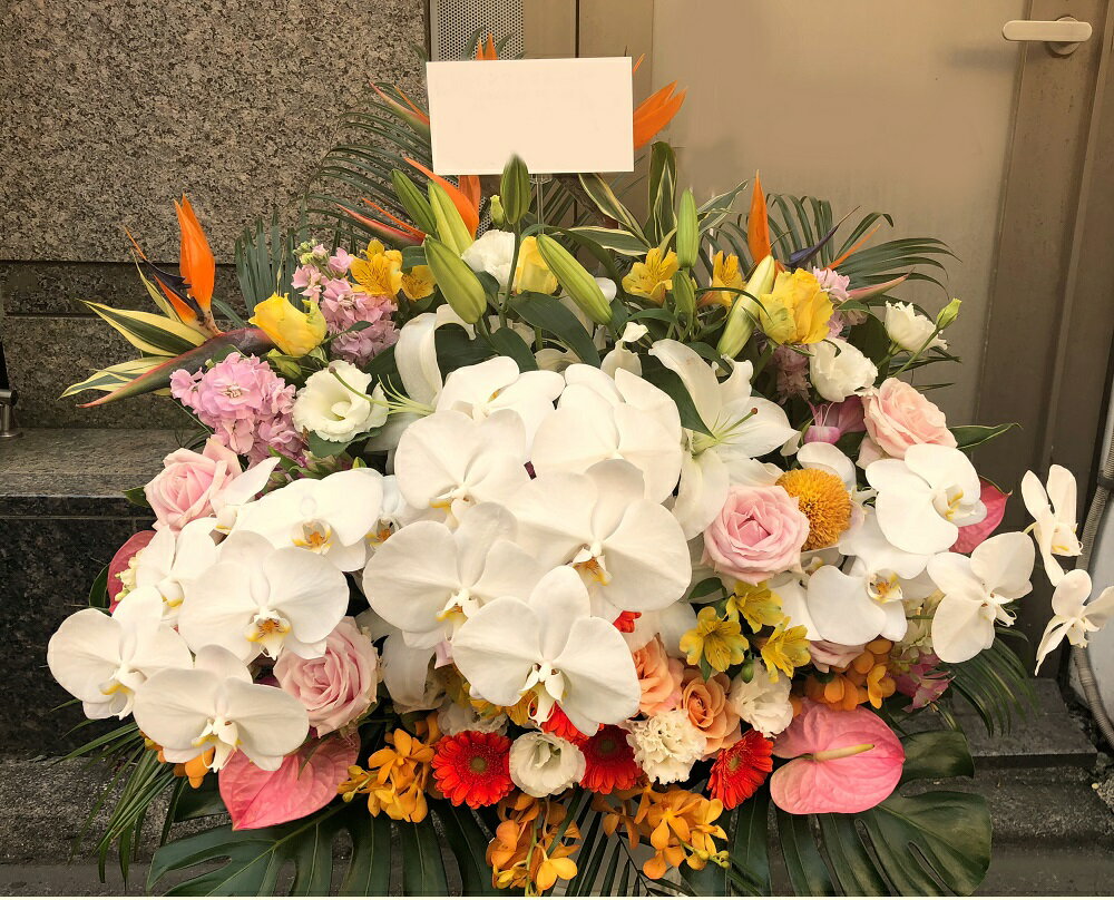 即日配送フラワー 【生花】【フラワーアレンジ】季節のお花を取り入れた、お祝いアレンジメント50000円【即日配送】【立て札・メッセージカード付属】誕生日祝い／結婚祝い／移転祝い／公演・出演祝い／新築・引越し祝い／プレゼント／贈り物