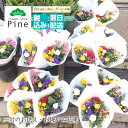 お墓参り 花 (2束 セット より) 切り花 エコバッグ 仏花 生花 お供え 花束 お供え花 ギフト バッグ ネットショッピング ピンク かわいい バック 赤 ...