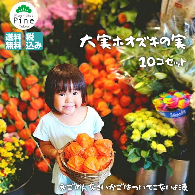 1000円ポッキリ \予約/ 鬼灯 切り花 日本の夏の風物詩 他、家の魔除けとして「家を守ってくれる」役目 ほおずきを玄関に吊るして飾ることで悪い運気を追い払う
