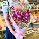 デンファレの花束 デンファレ の 花束 生花 かすみ草 送料無料 切り花 花 ギフト 誕生日 ブーケ プレゼント 女性 お疲れ様 退職 宅配 誕生日プレゼント プチギフト 出産祝い 内祝い かわいい おしゃれ ピンク 結婚祝い 優雅で素敵な気分に 大事な人への感謝の気持ちを花束で表現